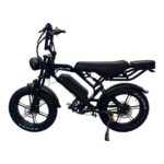 QMWHEEL V20 Pro fatbike met achterzitje en voetsteunen voor passagier