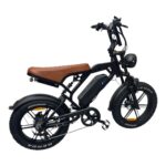 V20 Pro fatbike zwart schuin achteraanzicht