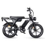 een fatbike met dubbele accu en extra grote actieradius