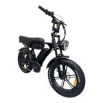 Dubbele achtervering van de OUXI V8 Pro Max fatbike