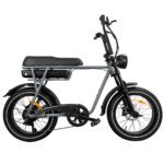 EB2 PRO Fatbike - Nardo Grey - Afbeelding 2