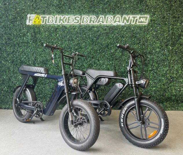 Foto van 2 te verzekeren fatbikes