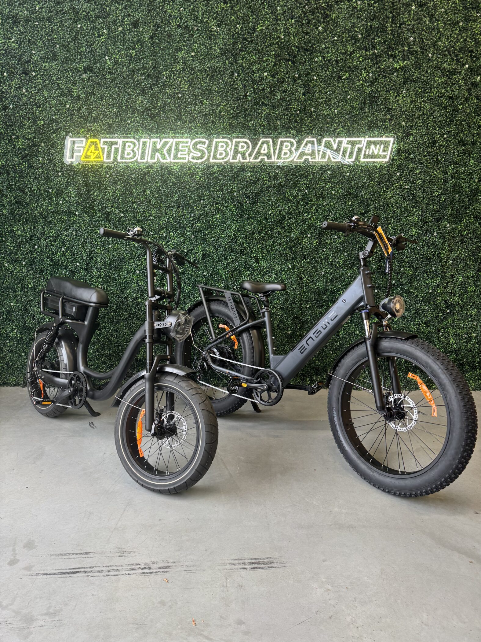 Dames fatbike met lage instap – stijlvolle elektrische fatbike voor comfortabel fietsen