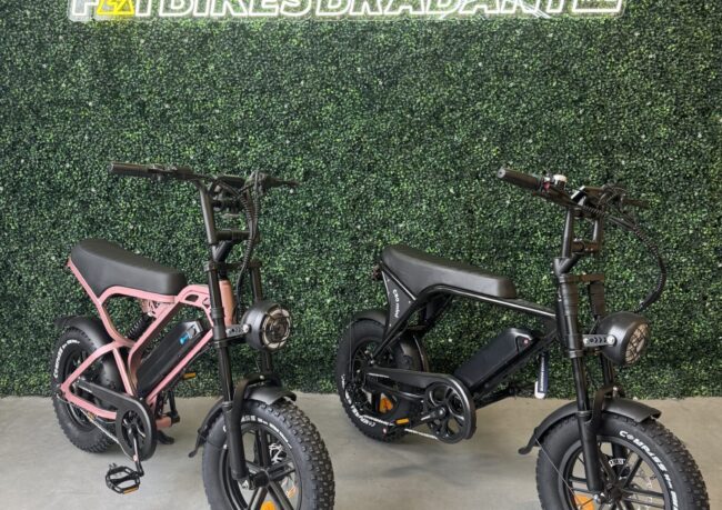 Fatbike Mini van Fatbikes Brabant met 16-inch banden, geschikt voor kleinere rijders vanaf 1,35 meter.