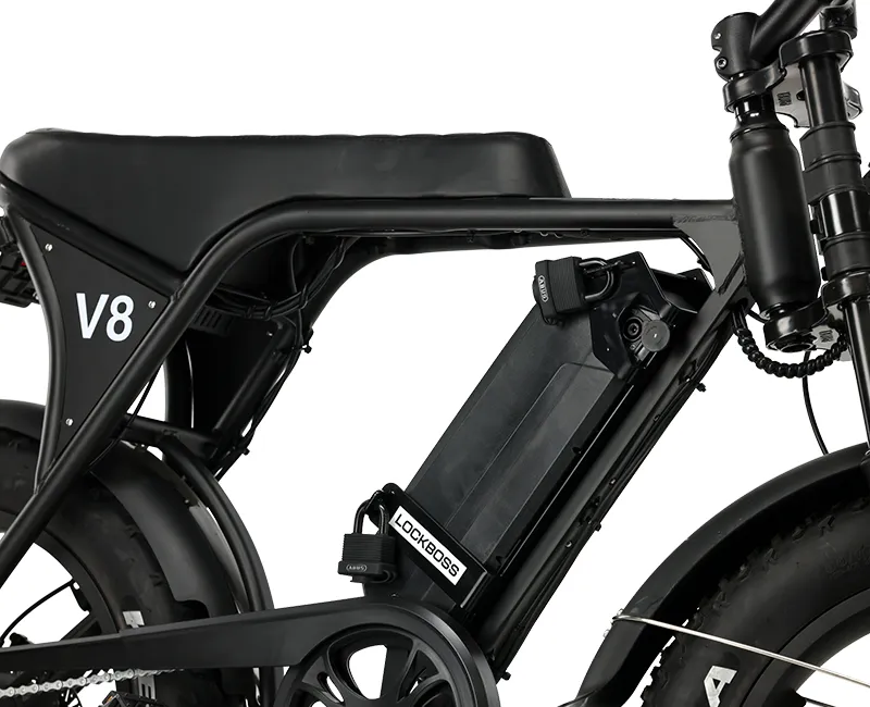 LockBoss L1 montage op fatbike