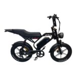 S20 pro fatbike met achterrek erop gemonteerd