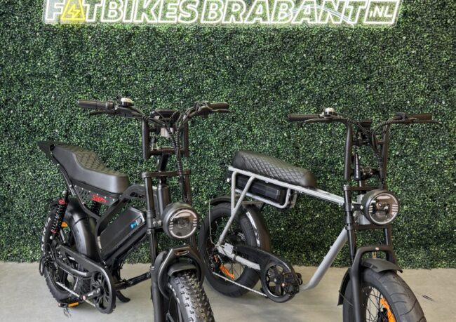 Vergelijking tussen 7GO EB2 en QMWHEEL S20 Pro fatbike