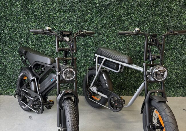 Vergelijking tussen 7GO EB2 en QMWHEEL V20 Pro fatbike