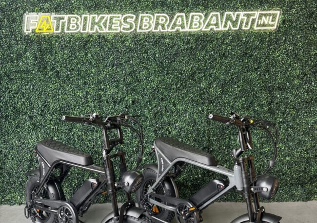 OUXI C80 Mini mini fatbike met hydraulische remmen en ingebouwd alarm