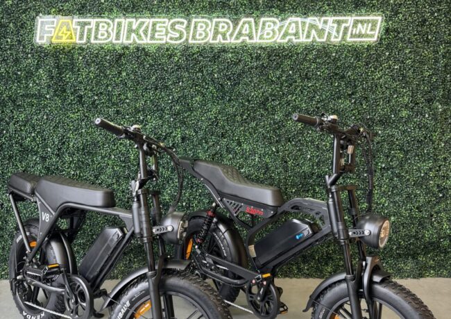 Vergelijking tussen OUXI V8 en QMWHEEL S20 Pro fatbike