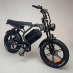 Dubbele 48V 15Ah accu van de QMWHEEL V20 Limited Pro